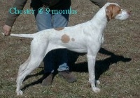 Chester at 9 months