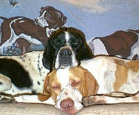 Pointer Pointers